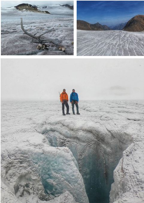 Compilation of three shots. Caribou antlers on the ice, rippled ice surface and two scientists standing on edge of deep moulin. 